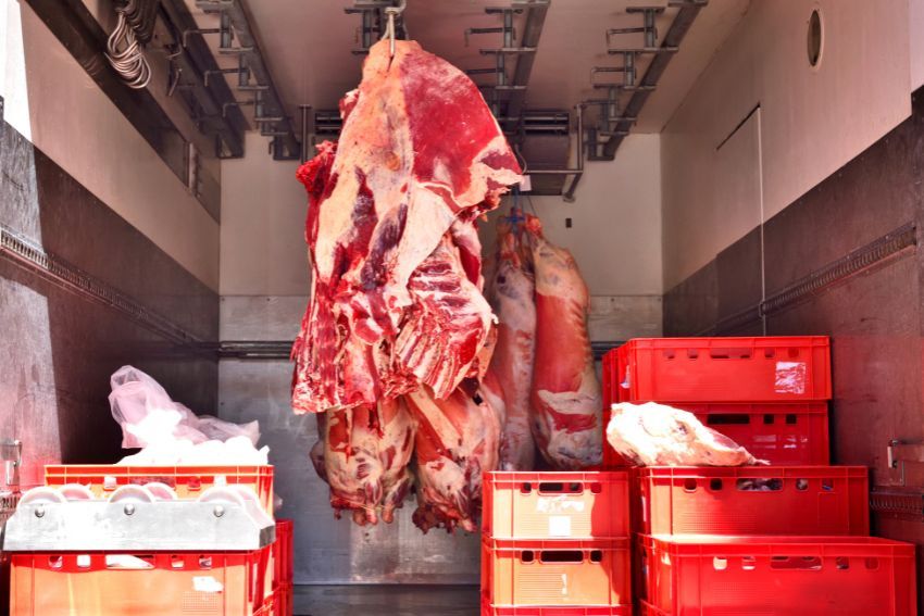 Mięso w transporcie